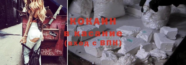 PSILOCYBIN Алзамай