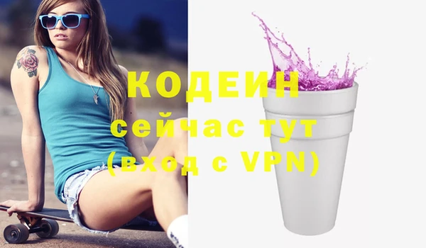 PSILOCYBIN Алзамай