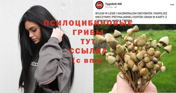 кристаллы Алексин