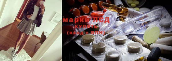 PSILOCYBIN Алзамай