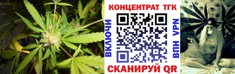 ТГК Wax Рошаль